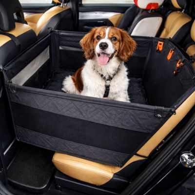 épagnol dans siege auto pour chien hamac