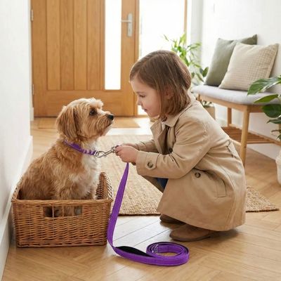 fillette attache laisse pour chien a morkie dans son panier