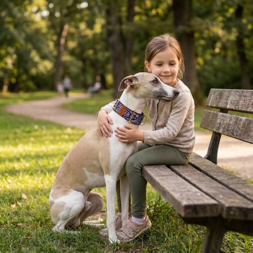 fillette caline whippet qui porte collier chien