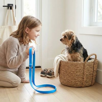 fillette montre laisse pour chien a morkie assis dans panier