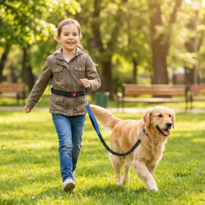 fillette promène golden avec laisse main libre pour chien bleu