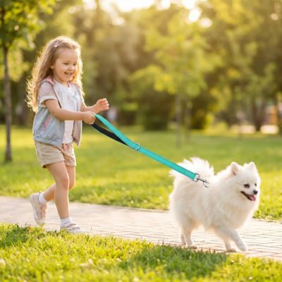 fillette promène spitz avec laisse pour chien