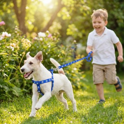 fox terrier court avec harnais pour petit chien bleu