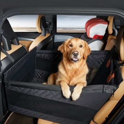 golden dans siege auto pour chien hamac