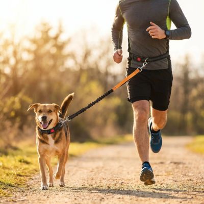 homme court avec laisse main libre pour chien orange