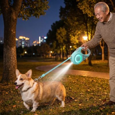 homme promène corgi avec laisse chien enrouleur led vert