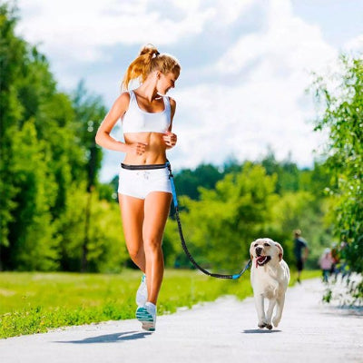 jogging avec labrador et laisse main libre pour chien