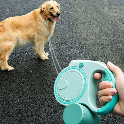 labrador avec laisse pour chien rétractable verte