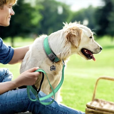 labrador avec son maitre porte collier chien vert neoprène