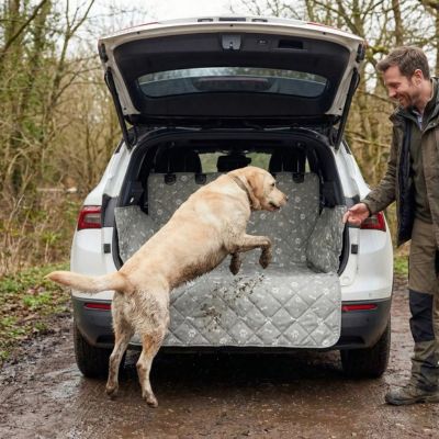 labrador sale saute sur protection voiture pour chien