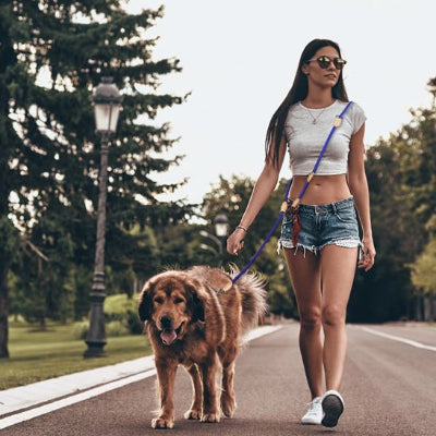 laisse double pour chien portée épaule