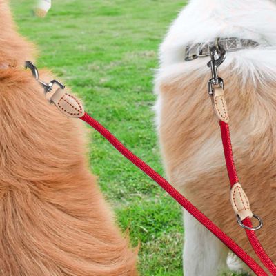 laisse double pour chien rouge attachée sur deux chiens