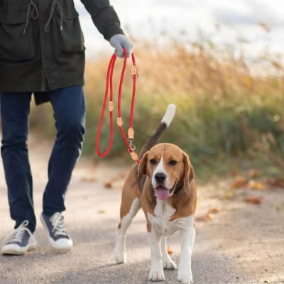 laisse double pour chien rouge