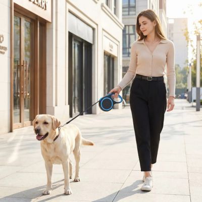 laisse-rétractable pour chien bleu et noir