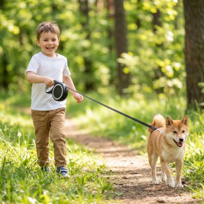 laisse rétractable pour chien noir et gris