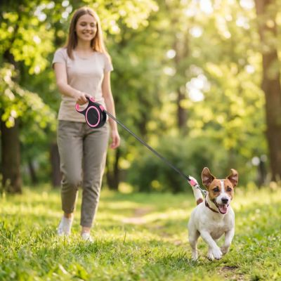 laisse rétractable pour chien rose et noir