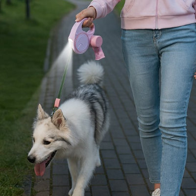 led allumé sur laisse pour chien rétractable rose