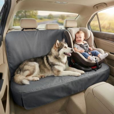 malamute allongé avec bébé sur protection voiture chien arrière
