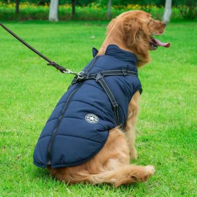 manteau pour chien avec harnais intégré bleu