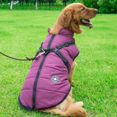 manteau pour chien avec harnais intégré violet