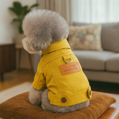 manteau pour petit chien jaune