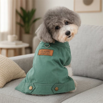 manteau pour petit chien vert