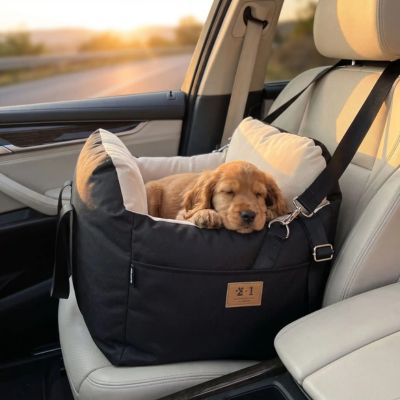 petit cocker dort dans siege auto chien noir