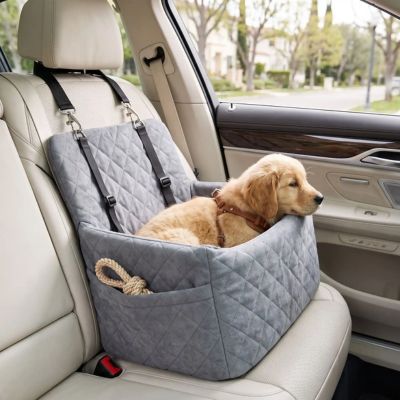 petit-cocker-dort dans siege auto chien