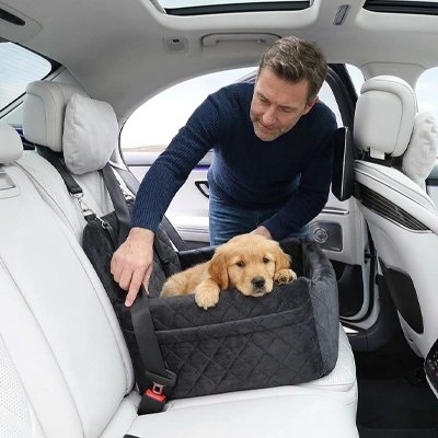 petit cocker installé dans siege auto chien