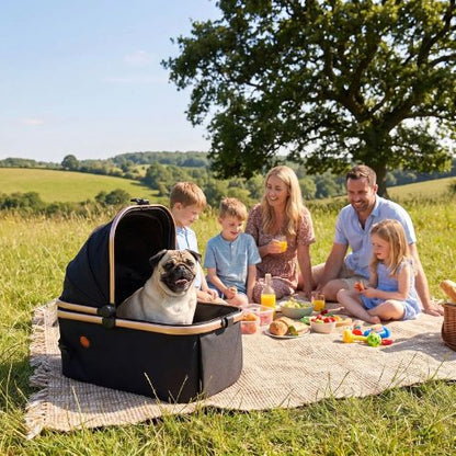picnic familial avec poussette pour chien