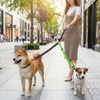 promenade en ville avec double laisse pour chien