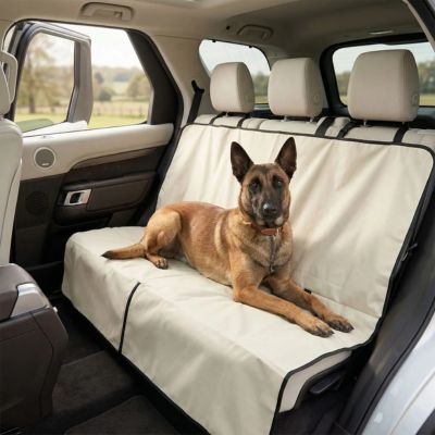 protection voiture chien beige
