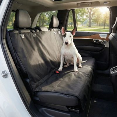 protection voiture chien noir