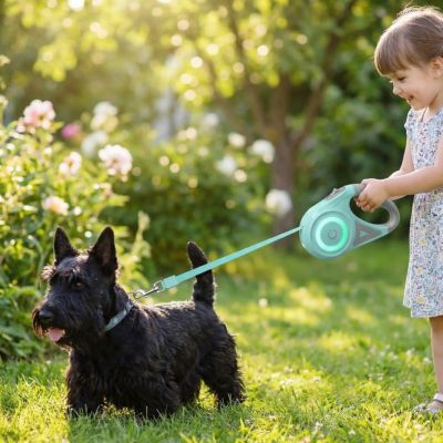 scottish tenu par fillette avec laisse chien enrouleur led