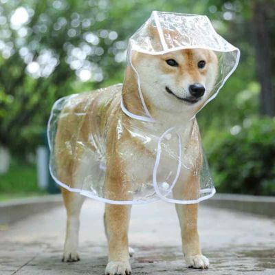 shiba inu porte manteau imperméable pour chien 