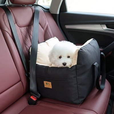 siege auto chien couleur noir