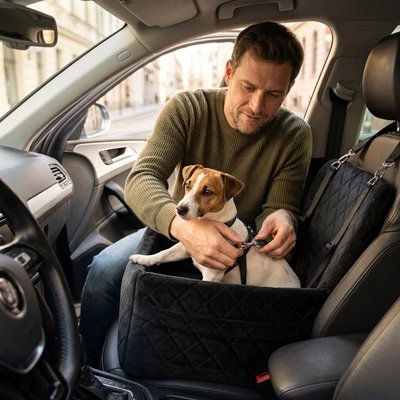 siege auto chien noir