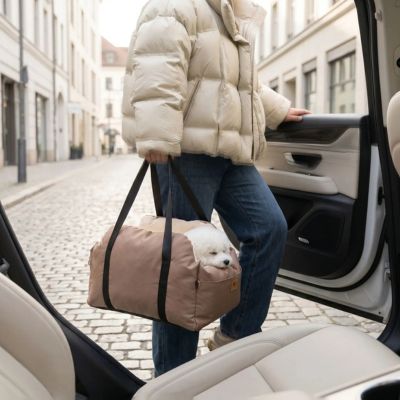 siege auto chien transportable