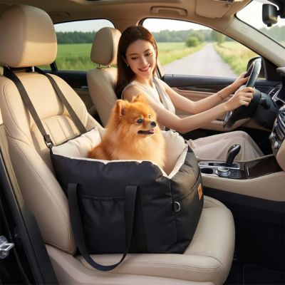 spitz assis dans siege auto chien noir