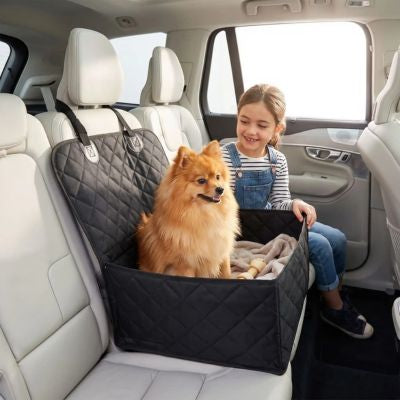 spitz assis dans siege auto pour chien