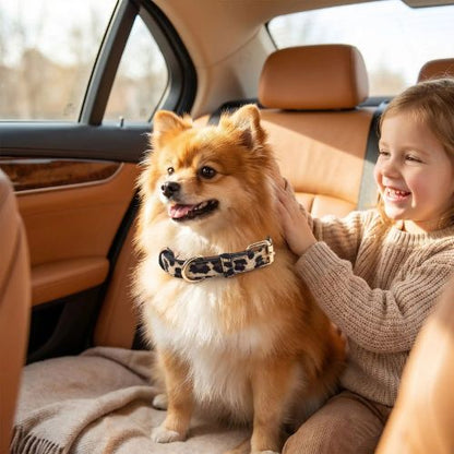 spitz porte collier pour chien léopard avec fillette dans voiture