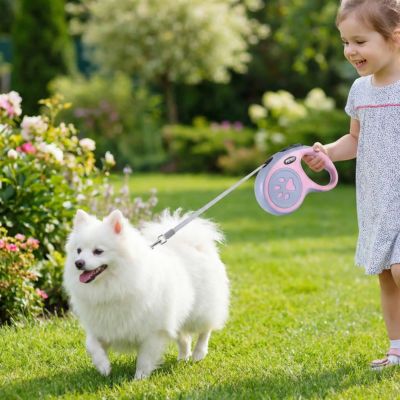 spitz tenu en laisse pour chien enrouleur par fillette