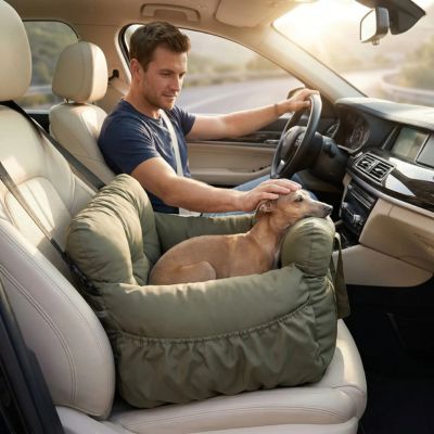 teckel allonge dans siege auto chiens kaki