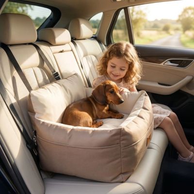 teckel dans siege auto chien brun