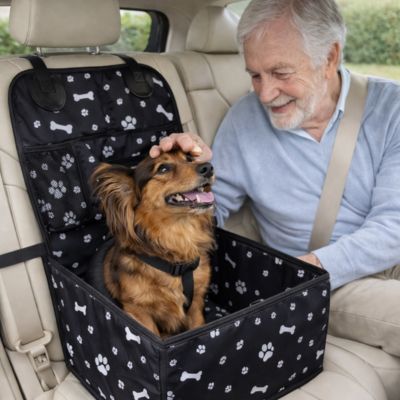 teckel heureux dans siege auto chien noir