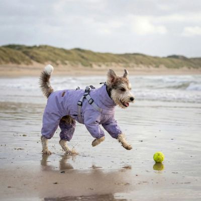 terrier avec manteau imperméable pour chien violet