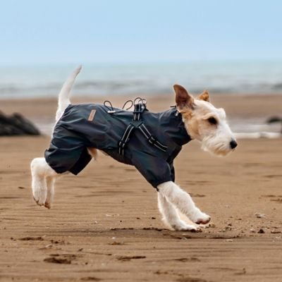terrier porte manteau imperméable pour chien gris