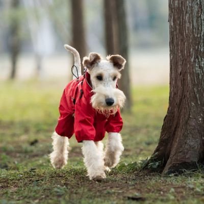 terrier porte manteau imperméable pour chien rouge