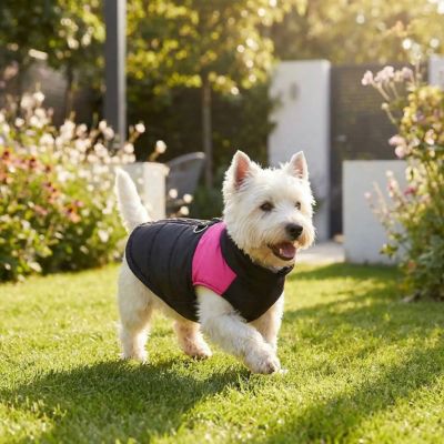 westhie porte manteau chien bicolore rose
