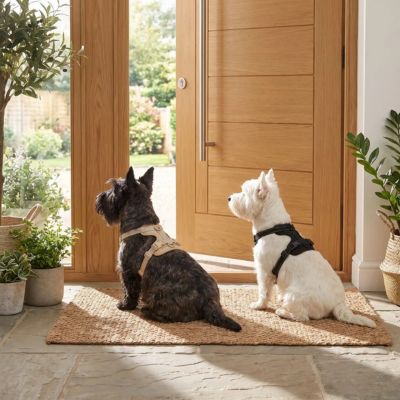 westie et scottish portent harnais anti traction chien